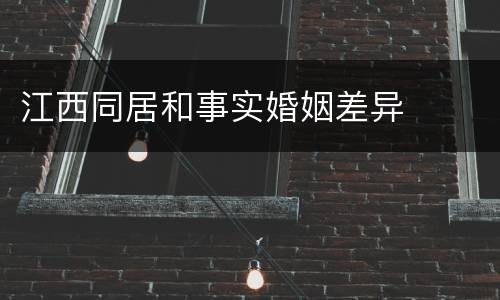 江西同居和事实婚姻差异
