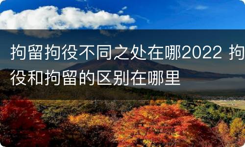 拘留拘役不同之处在哪2022 拘役和拘留的区别在哪里