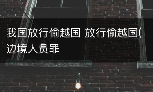 我国放行偷越国 放行偷越国(边境人员罪