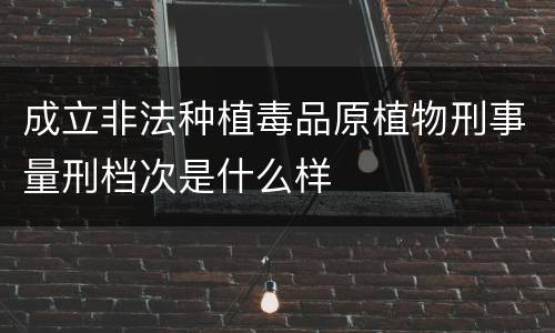 成立非法种植毒品原植物刑事量刑档次是什么样