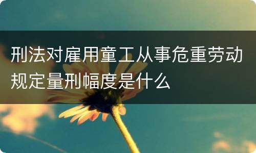 刑法对雇用童工从事危重劳动规定量刑幅度是什么