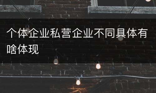 个体企业私营企业不同具体有啥体现