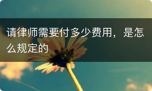 请律师需要付多少费用，是怎么规定的