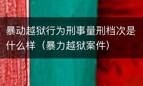 暴动越狱行为刑事量刑档次是什么样（暴力越狱案件）