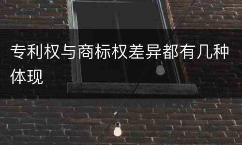 专利权与商标权差异都有几种体现