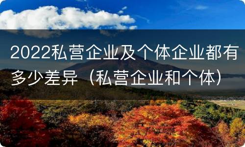 2022私营企业及个体企业都有多少差异（私营企业和个体）