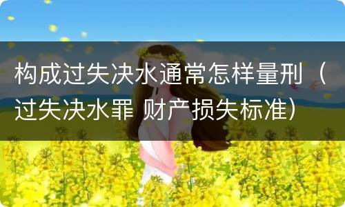构成过失决水通常怎样量刑（过失决水罪 财产损失标准）