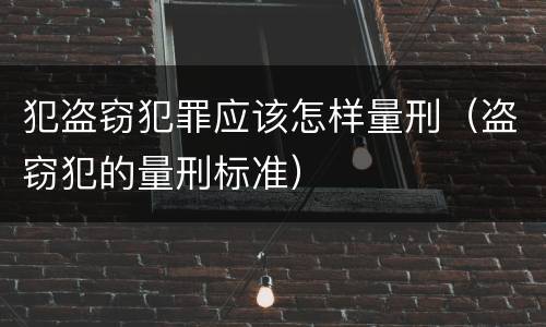 犯盗窃犯罪应该怎样量刑（盗窃犯的量刑标准）