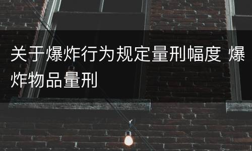 关于爆炸行为规定量刑幅度 爆炸物品量刑