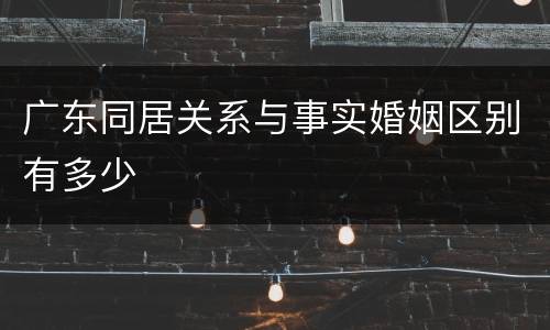 广东同居关系与事实婚姻区别有多少