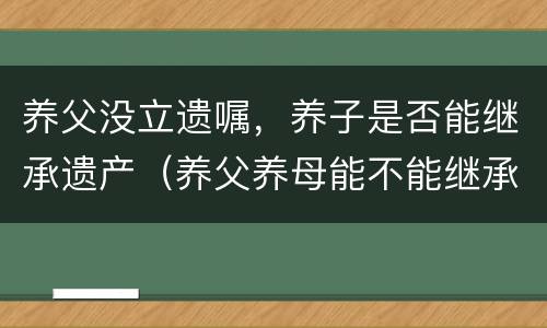 养父没立遗嘱，养子是否能继承遗产（养父养母能不能继承子女遗产）