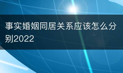 事实婚姻同居关系应该怎么分别2022