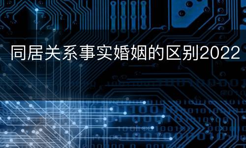 同居关系事实婚姻的区别2022