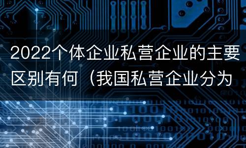 2022个体企业私营企业的主要区别有何（我国私营企业分为哪些）