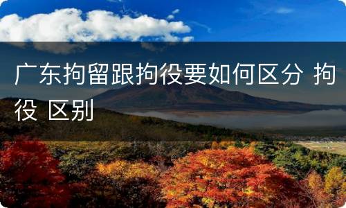 广东拘留跟拘役要如何区分 拘役 区别