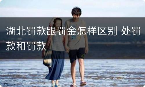 湖北罚款跟罚金怎样区别 处罚款和罚款