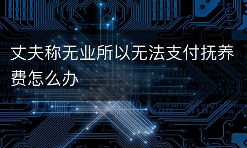丈夫称无业所以无法支付抚养费怎么办