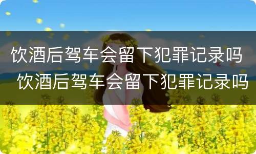 饮酒后驾车会留下犯罪记录吗 饮酒后驾车会留下犯罪记录吗知乎
