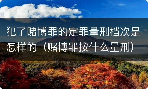 犯了赌博罪的定罪量刑档次是怎样的（赌博罪按什么量刑）