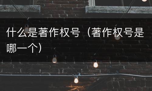 什么是著作权号（著作权号是哪一个）