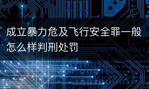 成立暴力危及飞行安全罪一般怎么样判刑处罚