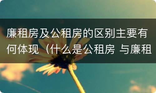 廉租房及公租房的区别主要有何体现（什么是公租房 与廉租房有什么区别）