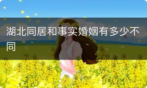 湖北同居和事实婚姻有多少不同