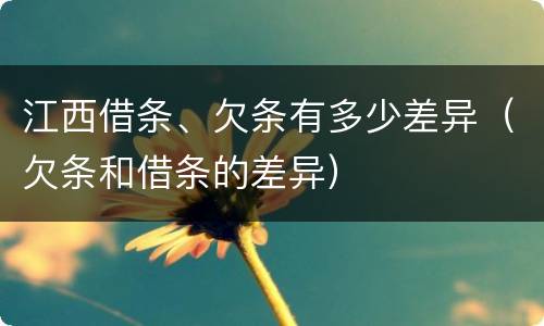 江西借条、欠条有多少差异（欠条和借条的差异）