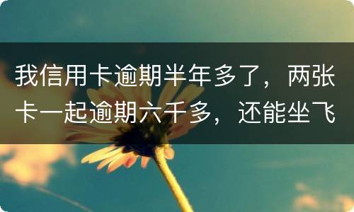 我信用卡逾期半年多了，两张卡一起逾期六千多，还能坐飞机吗