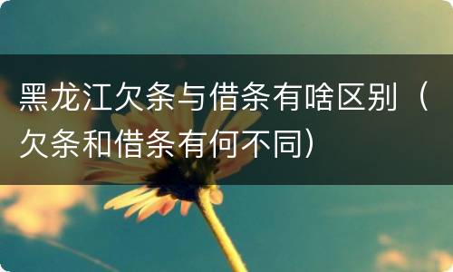 黑龙江欠条与借条有啥区别（欠条和借条有何不同）