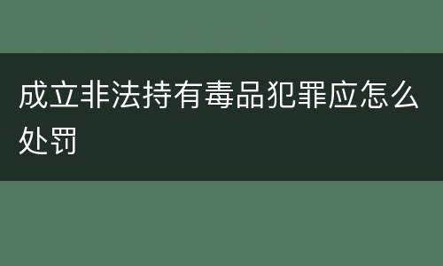 成立非法持有毒品犯罪应怎么处罚