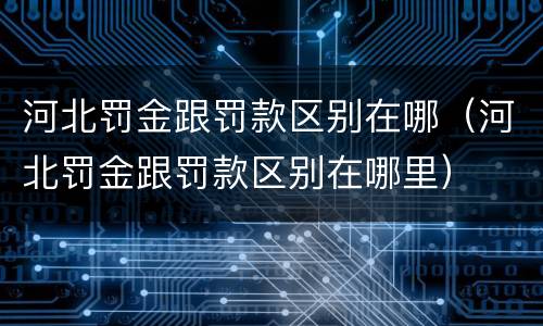 河北罚金跟罚款区别在哪（河北罚金跟罚款区别在哪里）