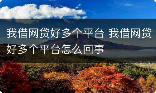 我借网贷好多个平台 我借网贷好多个平台怎么回事