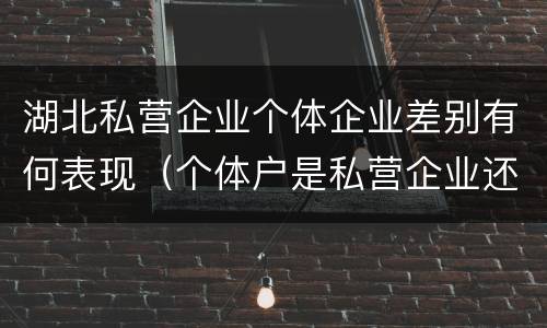 湖北私营企业个体企业差别有何表现（个体户是私营企业还是民营企业）