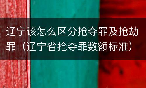 辽宁该怎么区分抢夺罪及抢劫罪（辽宁省抢夺罪数额标准）