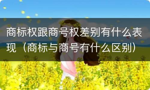 商标权跟商号权差别有什么表现（商标与商号有什么区别）