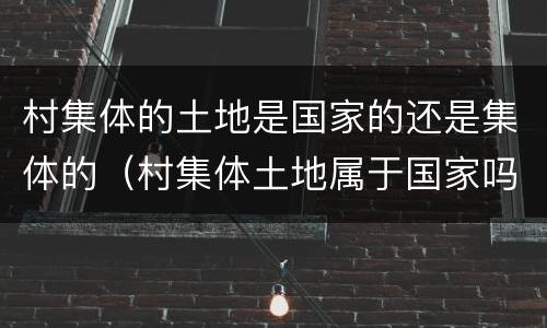 村集体的土地是国家的还是集体的（村集体土地属于国家吗）