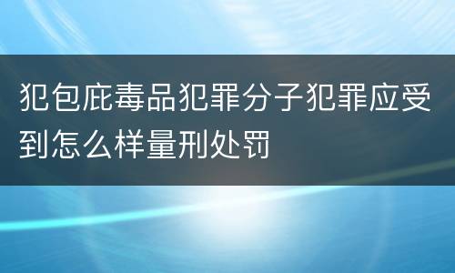 犯包庇毒品犯罪分子犯罪应受到怎么样量刑处罚