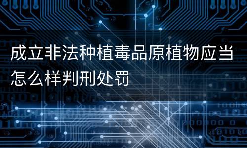 成立非法种植毒品原植物应当怎么样判刑处罚
