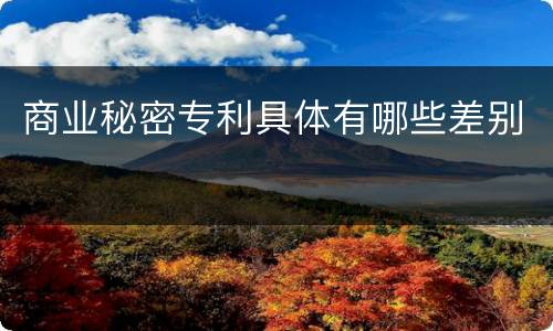 商业秘密专利具体有哪些差别