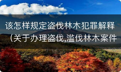 该怎样规定盗伐林木犯罪解释（关于办理盗伐,滥伐林木案件应用法律的几个问题的解释）