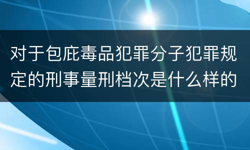 对于包庇毒品犯罪分子犯罪规定的刑事量刑档次是什么样的