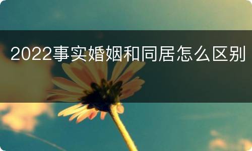 2022事实婚姻和同居怎么区别