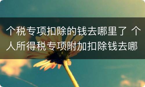 个税专项扣除的钱去哪里了 个人所得税专项附加扣除钱去哪儿