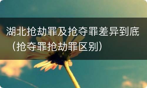 湖北抢劫罪及抢夺罪差异到底（抢夺罪抢劫罪区别）