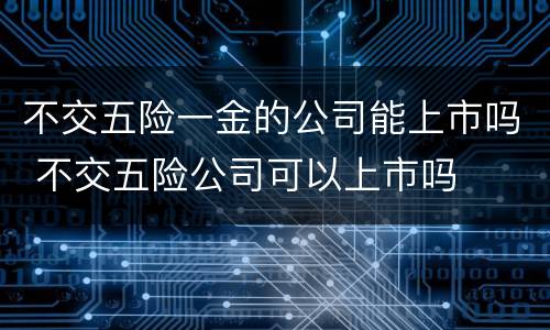 不交五险一金的公司能上市吗 不交五险公司可以上市吗