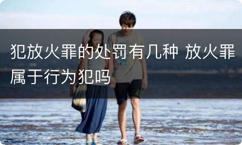 犯放火罪的处罚有几种 放火罪属于行为犯吗