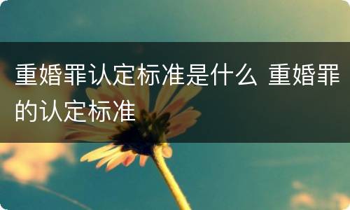 重婚罪认定标准是什么 重婚罪的认定标准