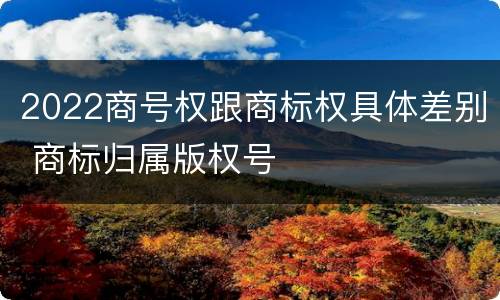 2022商号权跟商标权具体差别 商标归属版权号