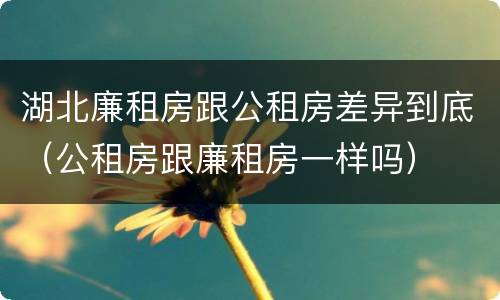 湖北廉租房跟公租房差异到底（公租房跟廉租房一样吗）